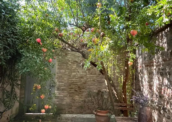 Prázdninový dům Casa Evelina SantʼArcangelo di Romagna